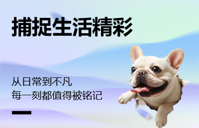 圖片