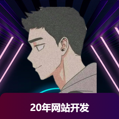 提供網(wǎng)站整站、網(wǎng)站模塊化及應(yīng)用軟件開發(fā)