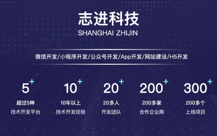 上海志进科技-十年IT开发经验