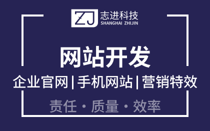 企业网站开发建设网站设计模板建站网站制作网页制作