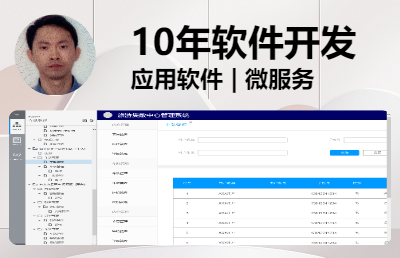 软件应用开发；CS | BS | 微服务