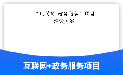 互联网+*服务项目建设方案