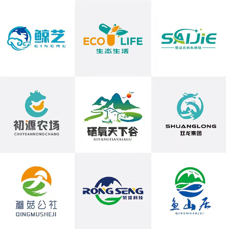楊肖肖