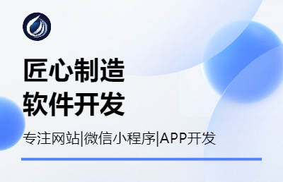 專業(yè)網(wǎng)站微信小程序APP開發(fā)