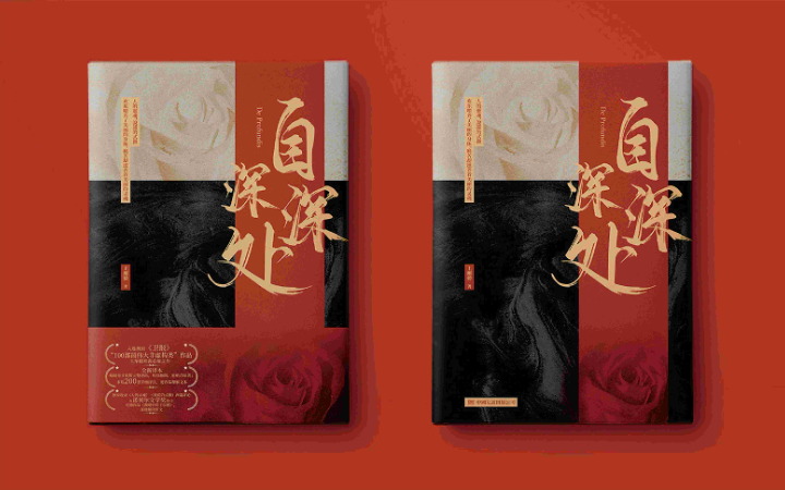 重庆市辛巴王广告有限公司