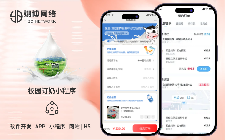 翊博网络科技-十年经验专注研发