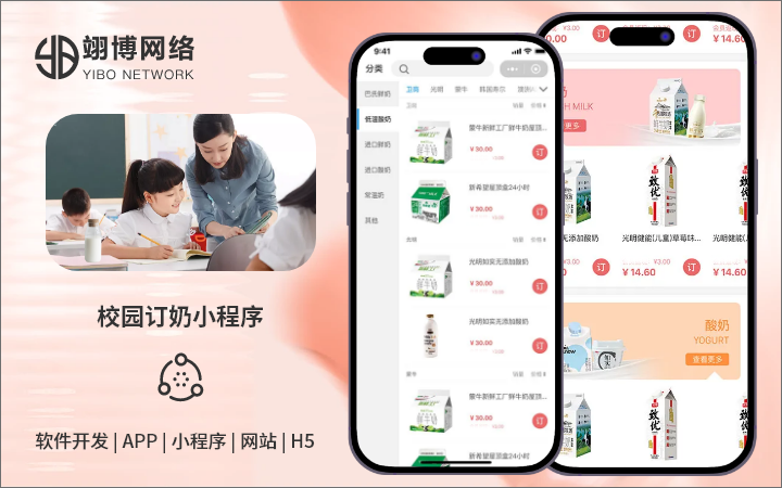 翊博网络科技-十年经验专注研发