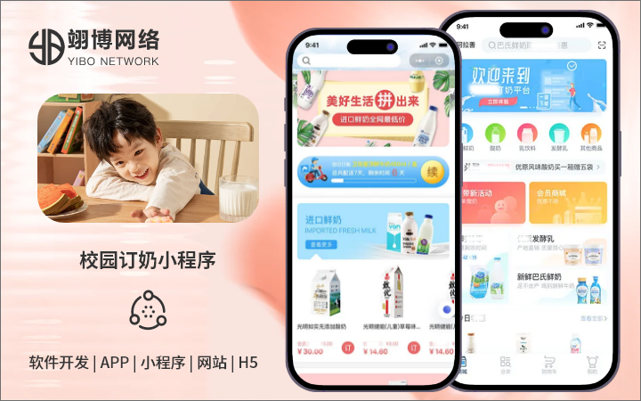 翊博网络科技-十年经验专注研发