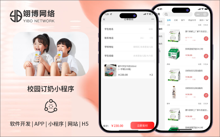 翊博网络科技-十年经验专注研发