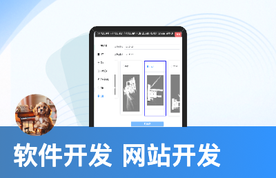 軟件開(kāi)發(fā)，網(wǎng)站開(kāi)發(fā)，定制化開(kāi)發(fā)
