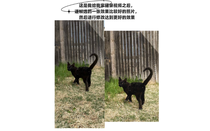Ling332