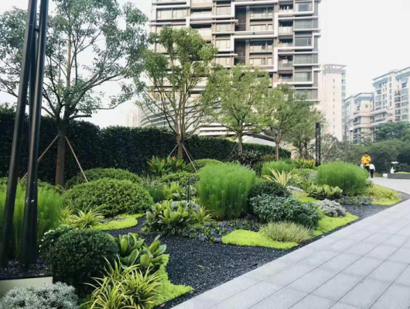 楊斌