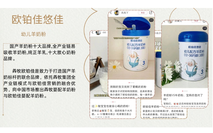 企烁网络科技
