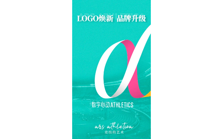 一z麻袋貓