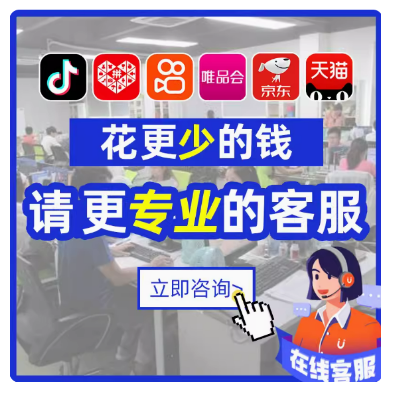 品牌电商抖音小红书代运营、售后、美工、快团团包月