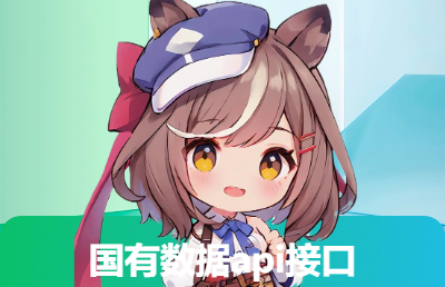 國(guó)有數(shù)據(jù)api數(shù)據(jù)接口