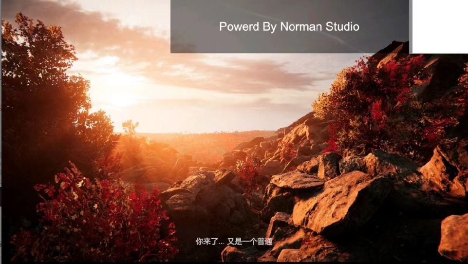 NormanStudio