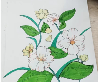 花與畫