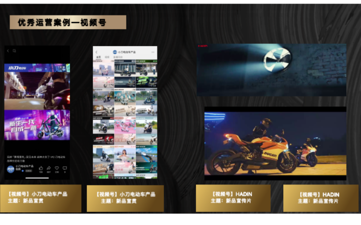牡丹亭影視
