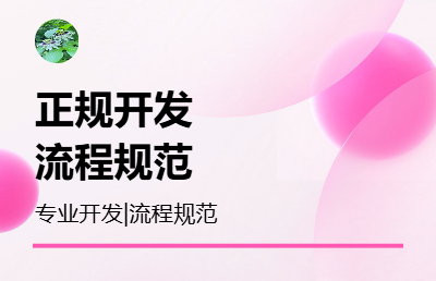 專業(yè)開(kāi)發(fā)團(tuán)隊(duì)，開(kāi)發(fā)流程規(guī)范