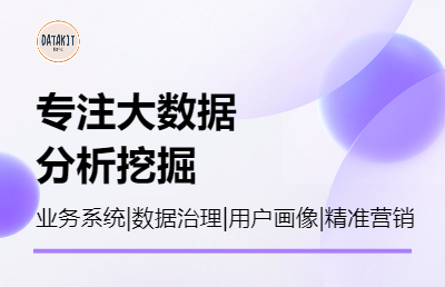 应用软件开发 数据治理 大数据智能推荐/分析挖掘