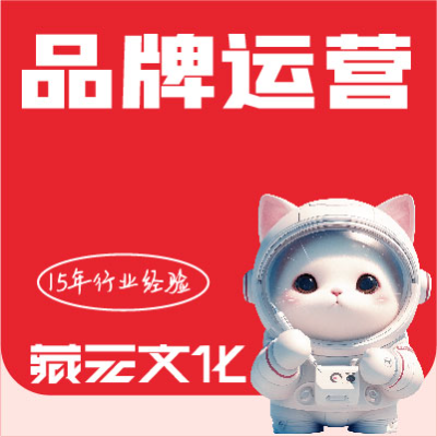 企業(yè)微信公眾號代運營達人運營品牌故事slogan