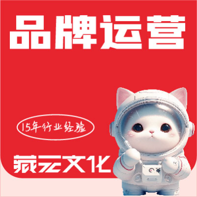 企业微信公众号代运营达人运营品牌故事slogan