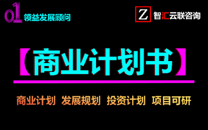 商业计划政府汇报项目建议书市场可行性论证概念规划