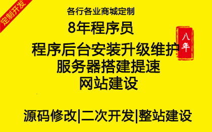 程序后台安装升级维护 服务器搭建提速 网站建设