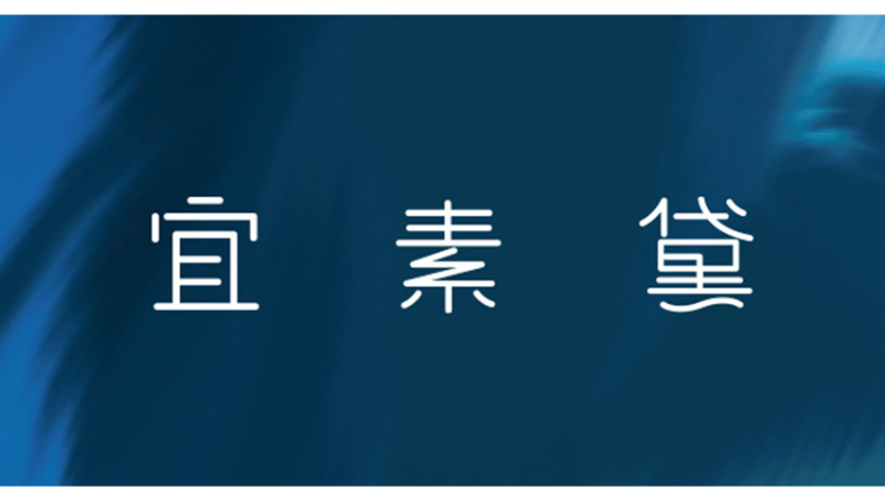 宜素黛洗面奶寡肽保濕亮顏凍干粉面膜