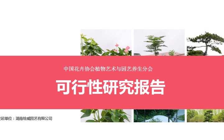 沐子传媒