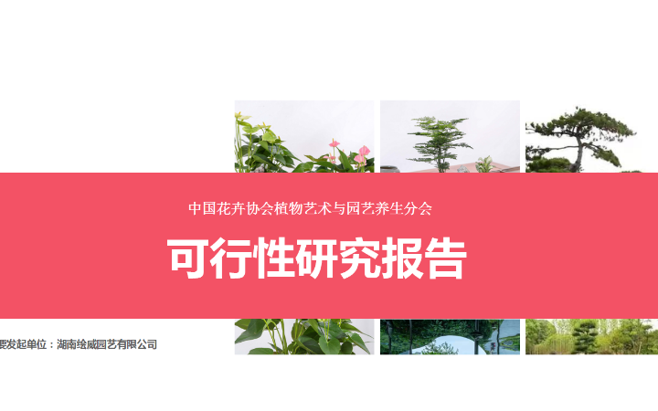 沐子传媒