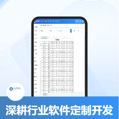 深耕行业软件定制开发