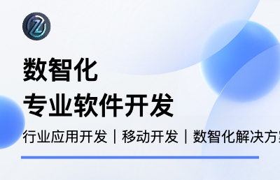 行业应用软件开发、数智化解决方案