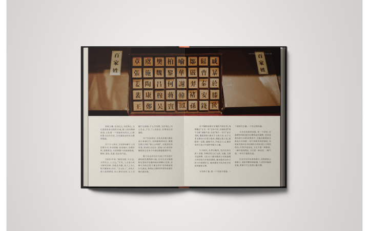 南西品牌設計