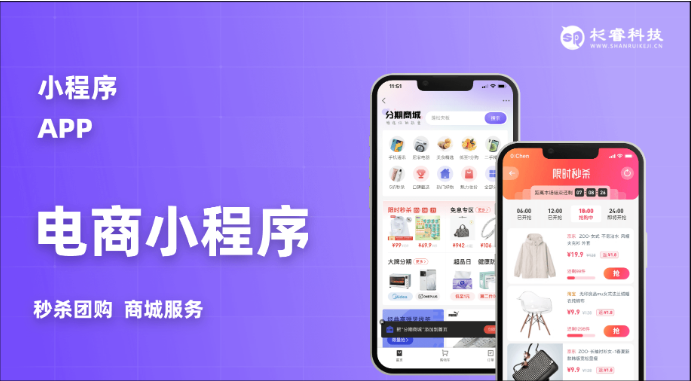 杉睿網絡科技