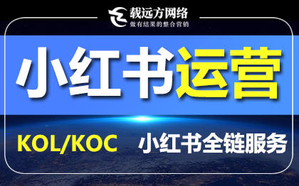 小红书营销人运营笔记达人运营KOC/KOL小红书