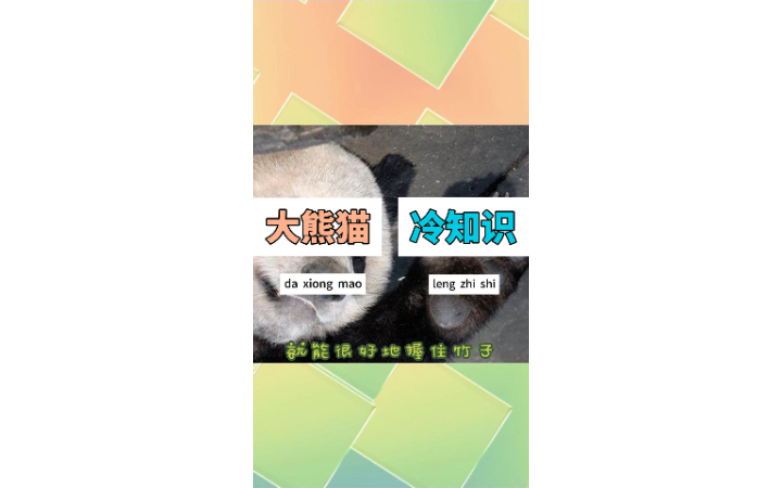 張宏宇
