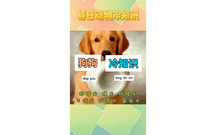 張宏宇