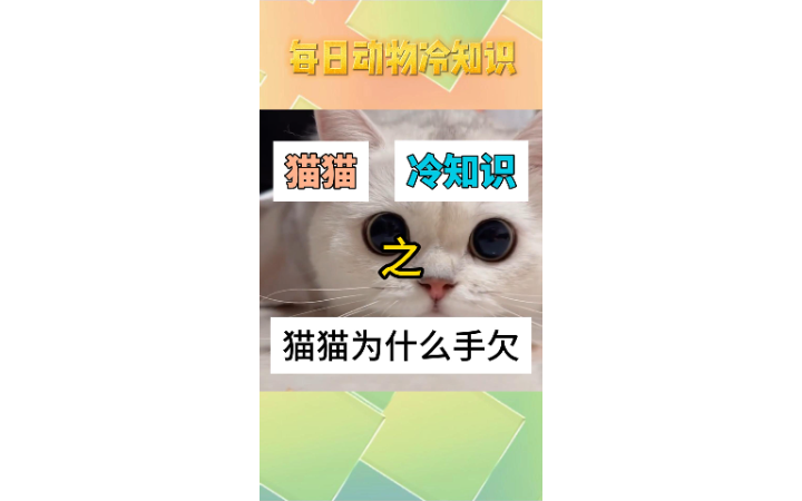 張宏宇