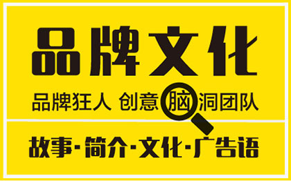 品牌企業(yè)公司團(tuán)隊(duì)文化墻IP策劃使命定制文案撰寫作