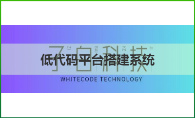 企業(yè)業(yè)務(wù)系統(tǒng)定制開發(fā)，適用各種業(yè)務(wù)場景