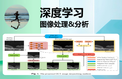 图像分类、分割、目标检测、卷积神经网络