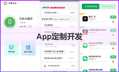 App定制,App小程序