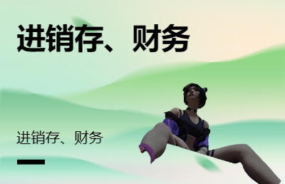 進(jìn)銷存系統(tǒng)；財(cái)務(wù)系統(tǒng)