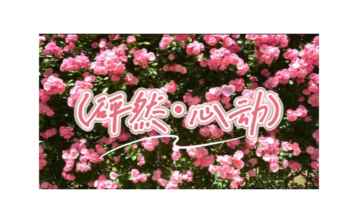 王樂