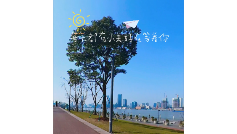 上海濱江騎行vlog