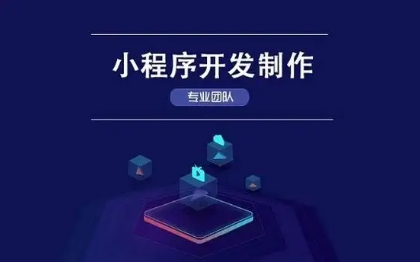 APP開發(fā)；系統(tǒng)開發(fā)；小程序開發(fā)；代碼維護
