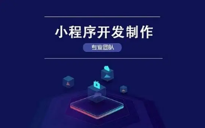 APP开发；系统开发；小程序开发；代码维护