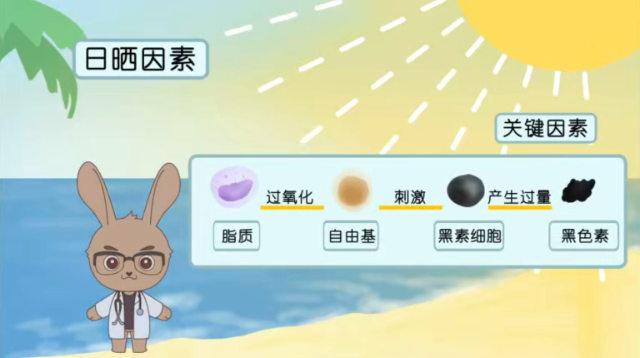 源計劃動畫